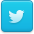 Twitter Icon